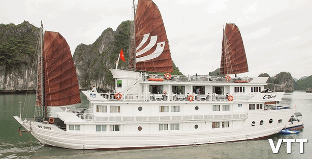 halong bhaya cruise promotion to bring best benefit to customers