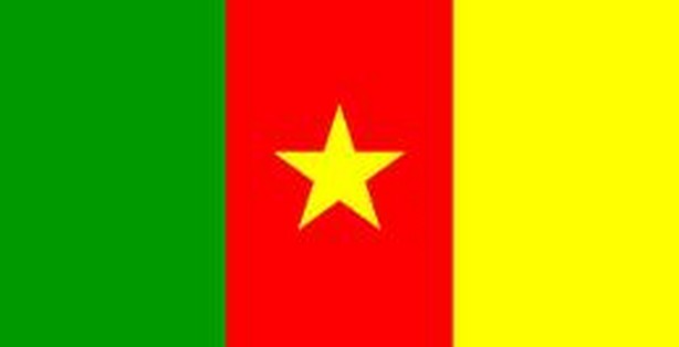 Vietnam Visa from Cameroon is the article about your Visa to Vietnam and how to get a Vietnam Visa from Cameroon. We cannot process the Visa arrangement for citizens from Cameroon but we expect that our information would be helpful to any tourists who would like to visit Vietnam from Cameroon.