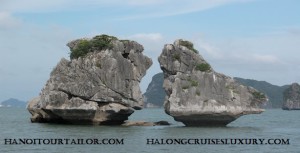 Halong Private Day Tour From Hanoi with private guide and customized services