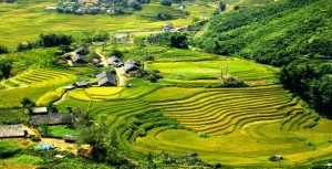 Book different types of Train tickets of Hanoi to Lao Cai (Sapa) or Sapa (Lao Cai) - Hanoi with VTT and its Best Price Guaranteed Policy.